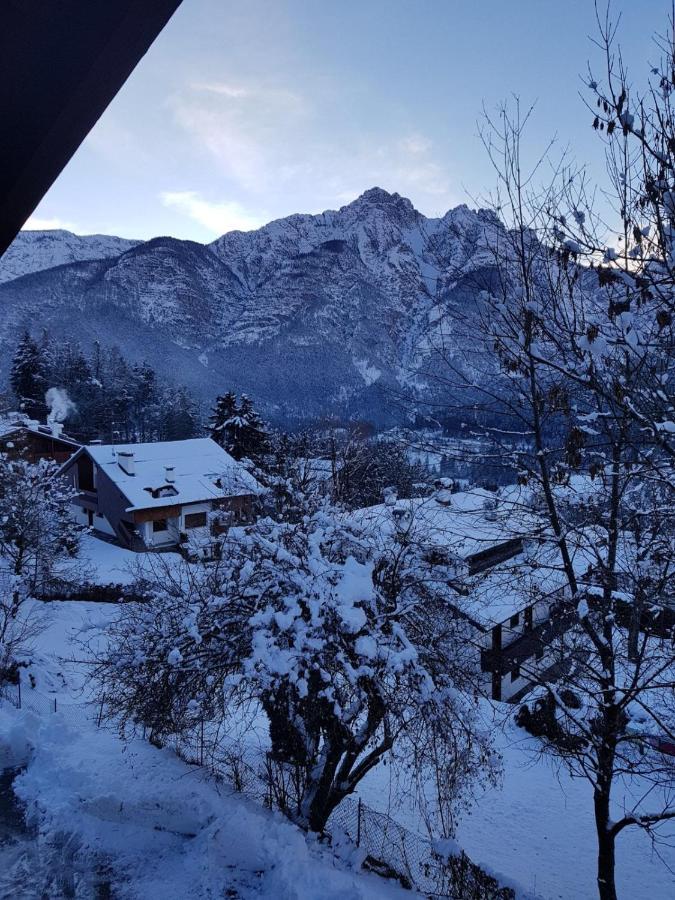 Casa Belvedere Pieve di Cadore Exteriör bild